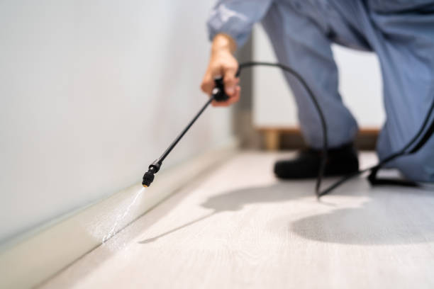 Licensed Termite Control service in Trigg County County, KY - Nex Pest Control