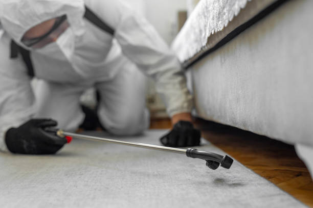 Professional Termite Control technician working in Trigg County County, KY